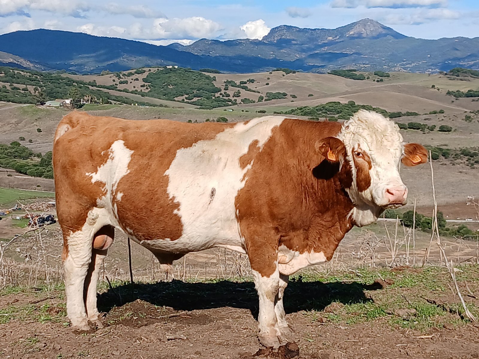 ticket_460__1096__20241027_154642