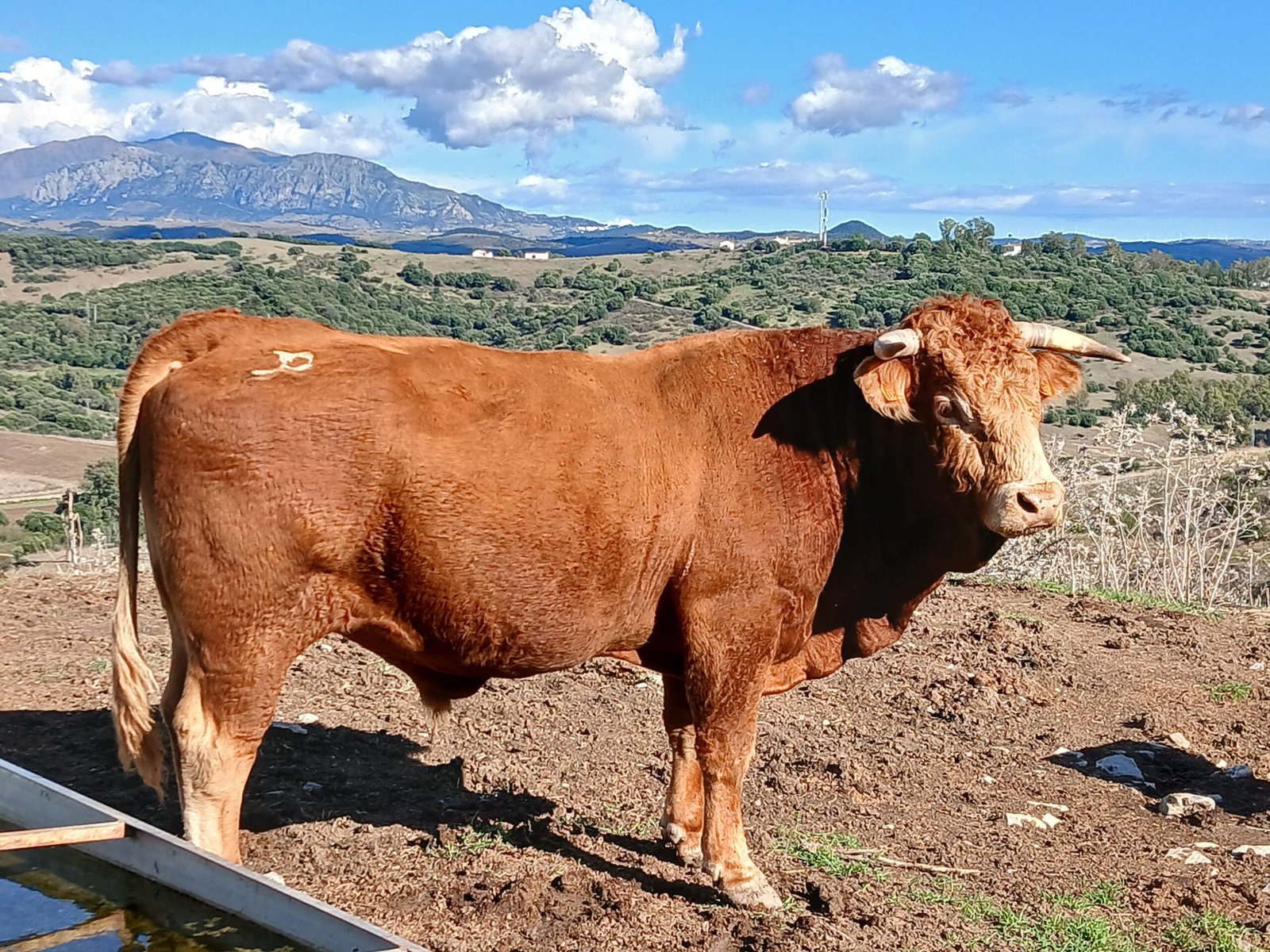 ticket_460__1097__20241027_154659